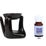 Crazy Sutra Decorative Hanging Diffuser Essential Oil Burner, Aromatherapy Essential Oil Fragrance Diffuser,with 10ml Lavender Aroma Oil