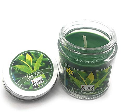 Crazy Sutra  Soy Wax Premium jar Candles Aroma Candles Tea Tree Pack of 2