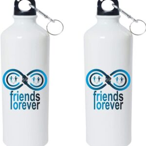 Crazy Sutra Classic Printed Water Bottle/Sipper - 600Ml (SchoolBottles-FriendsForever_W)