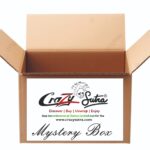 Mystery Box
