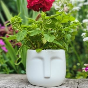 Crazy Sutra Home Décor face Shaped Ceramic Planter | Modern Flower Pot for Home Interior, Roof, and Balcony Decoration