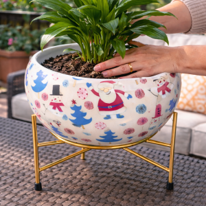 629 &ndash; Crazy Sutra