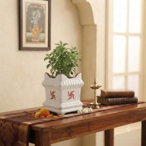 Crazy Sutra White Ceramic Tulsi Planter Pot – 7 cm